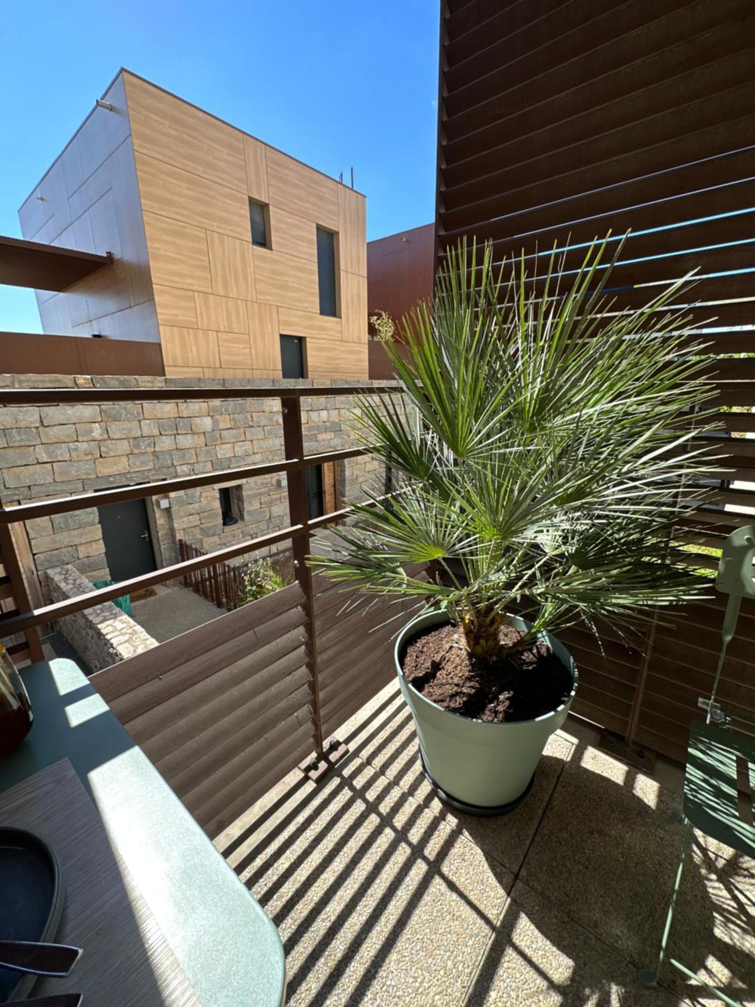 Appartement Charmant Au Porte De Montpellier Saint-Jean-de-Védas Esterno foto